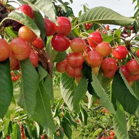 Oereghaz Vendeghaz Διαμέρισμα Lakhegy Εξωτερικό φωτογραφία