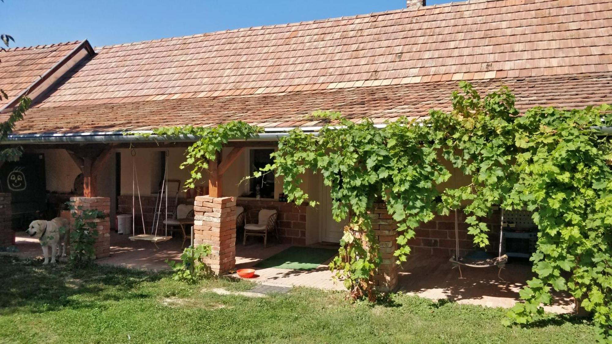 Oereghaz Vendeghaz Διαμέρισμα Lakhegy Εξωτερικό φωτογραφία